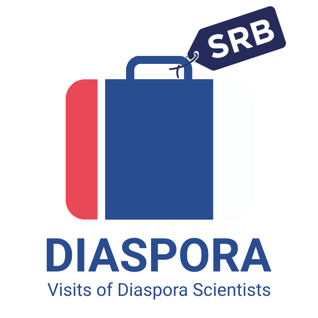 Diaspora program logo